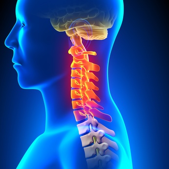飛び出した椎間板組織で神経が圧迫され痛みや不快症状が起こります